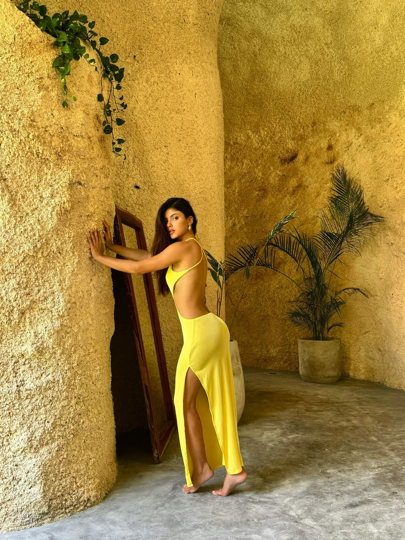 AMIRA